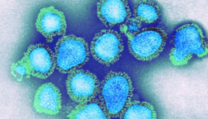 H3N2 Influenza Virus :