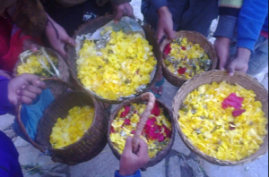 Phool Dei Festival 