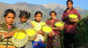 Phool Dei Festival 