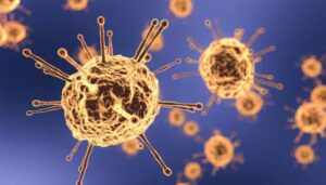 Coronavirus Cases :