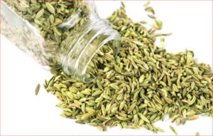 Fennel Seeds Benefits: