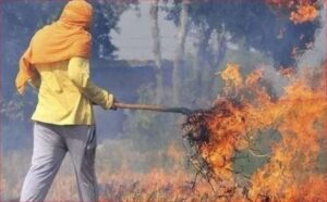New Delhi: